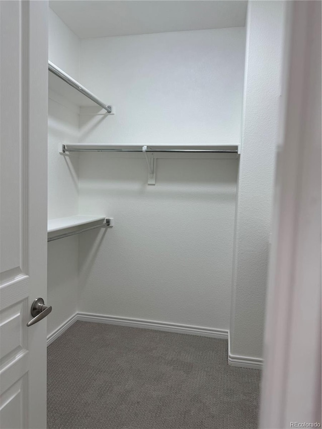 12317 W Gould Ave, Littleton, CO 80127 - spacious closet featuring carpet floors