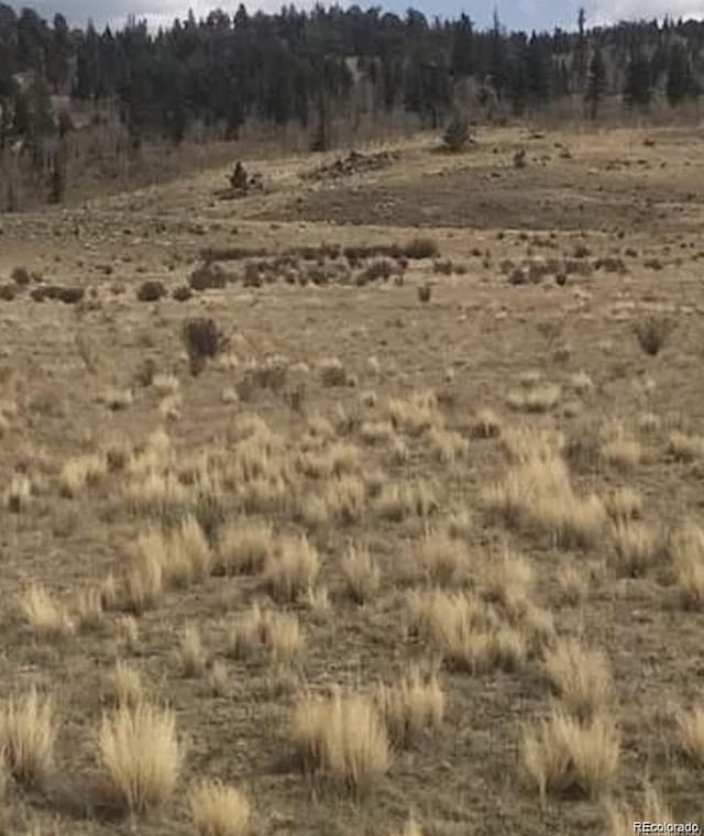 1652 Arrowhead Dr, Como, CO 80432 - photo 7