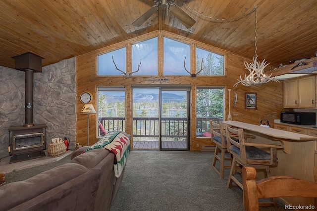 826 County Road 494, Grand Lake, CO 80447 - photo 17