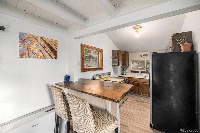 200 Crest Dr, Idaho Springs, CO 80452 - kitchen featuring freestanding refrigerator, electric range, and light wood-style floors