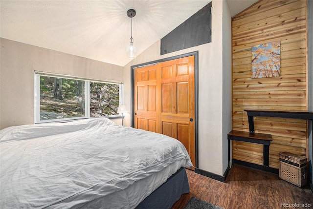 200 Crest Dr, Idaho Springs, CO 80452 - bedroom featuring lofted ceiling, dark wood finished floors, and a closet