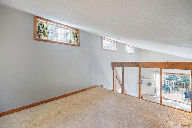 200 Crest Dr, Idaho Springs, CO 80452 - below grade area with carpet floors, a textured ceiling, plenty of natural light, and a textured wall