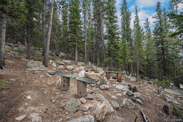 200 Crest Dr, Idaho Springs, CO 80452 - view of woods