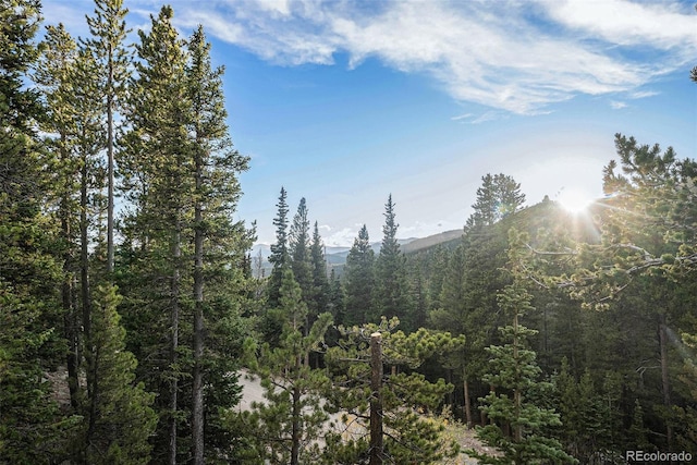 200 Crest Dr, Idaho Springs, CO 80452 - view of mountain backdrop with a heavily wooded area