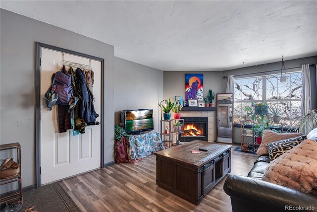 living room featuring a fireplace and dark hardwood / wood-style flooring