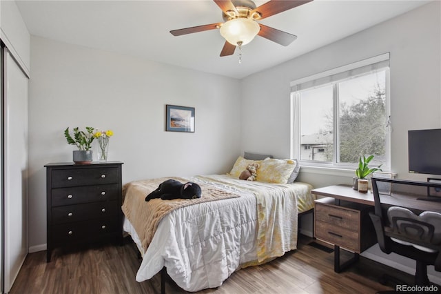 12235 Garfield Pl, Thornton, CO 80241 - bedroom featuring dark wood finished floors, a closet, and a ceiling fan