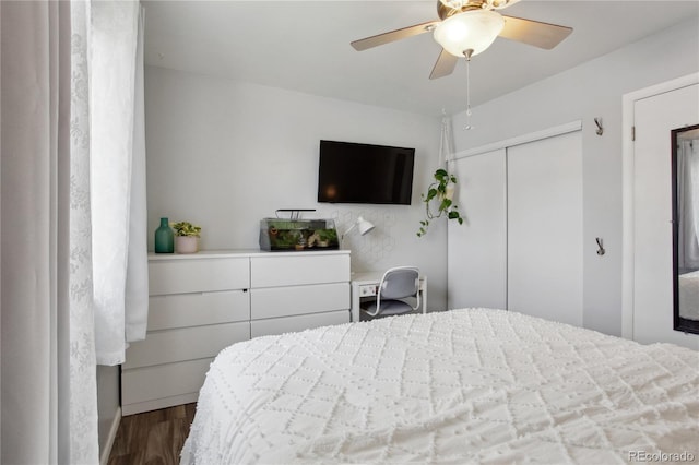 12235 Garfield Pl, Thornton, CO 80241 - bedroom featuring a closet, dark wood-style floors, and a ceiling fan