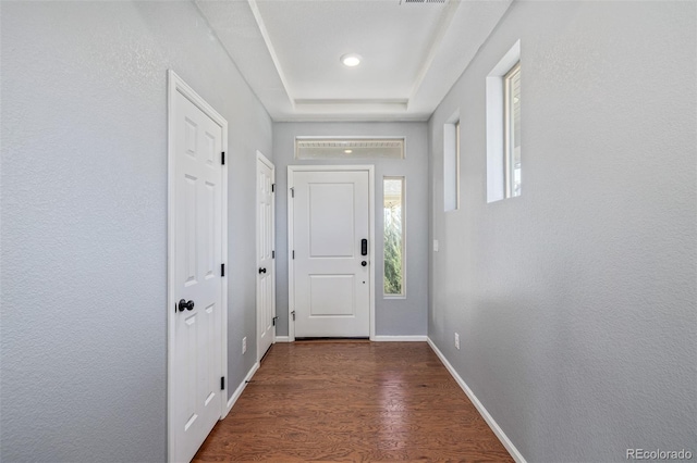 entryway with dark wood-type flooring and a raised ceiling