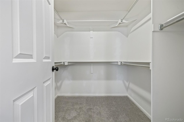 spacious closet with carpet