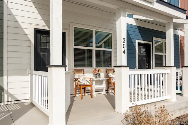 304 Barnwood Dr, Buena Vista, CO 81211 - entrance to property featuring covered porch