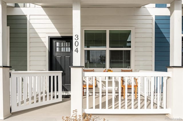 304 Barnwood Dr, Buena Vista, CO 81211 - property entrance with a porch