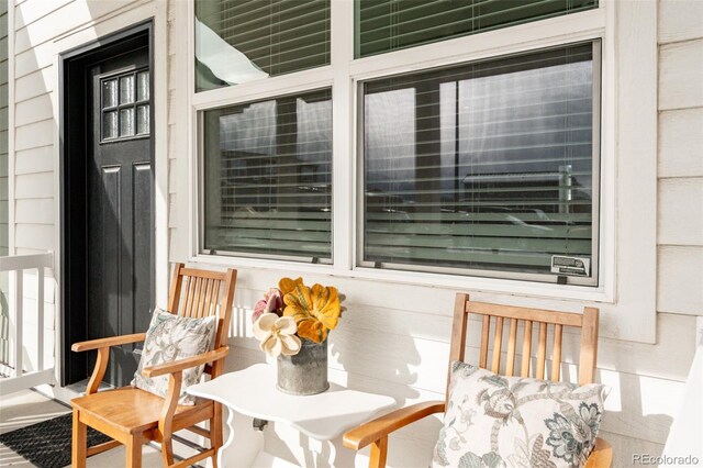 304 Barnwood Dr, Buena Vista, CO 81211 - view of covered porch
