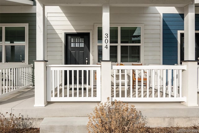 304 Barnwood Dr, Buena Vista, CO 81211 - entrance to property featuring covered porch