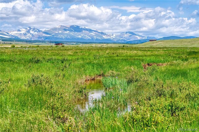 788 Meier Ridge Trl, Fairplay, CO 80440