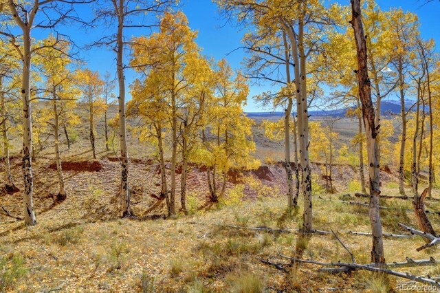 788 Meier Ridge Trl, Fairplay, CO 80440