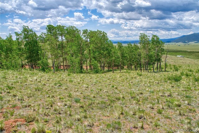 788 Meier Ridge Trl, Fairplay, CO 80440