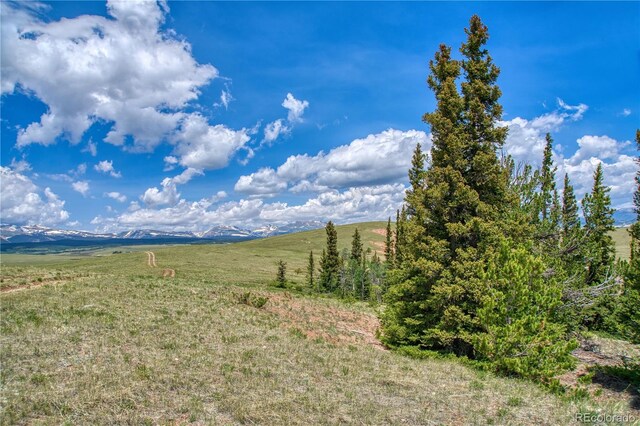 788 Meier Ridge Trl, Fairplay, CO 80440