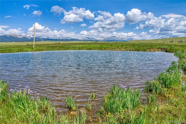 788 Meier Ridge Trl, Fairplay, CO 80440