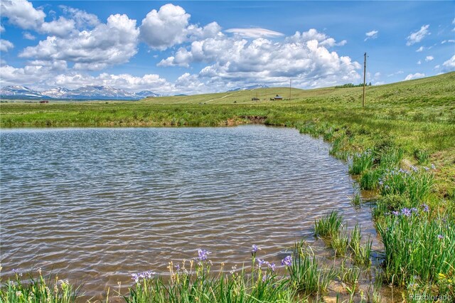 788 Meier Ridge Trl, Fairplay, CO 80440