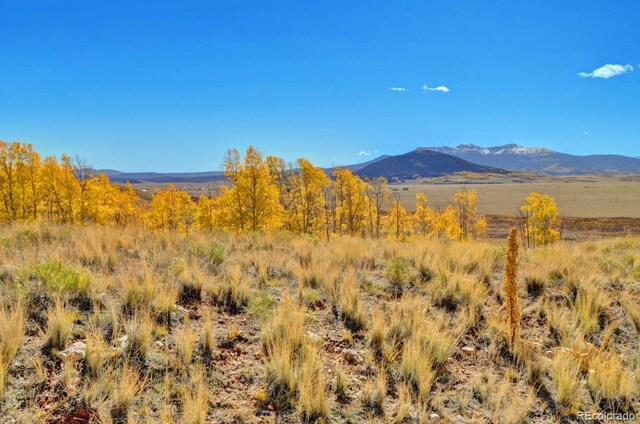 788 Meier Ridge Trl, Fairplay, CO 80440