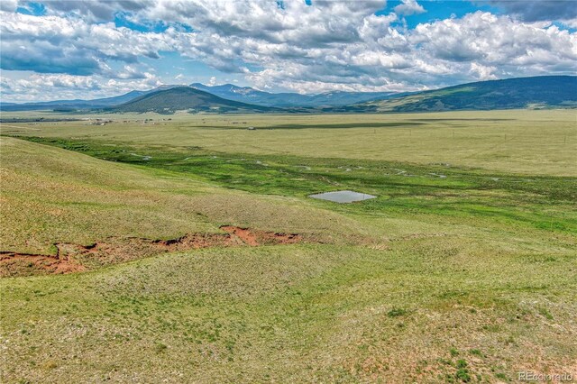 788 Meier Ridge Trl, Fairplay, CO 80440