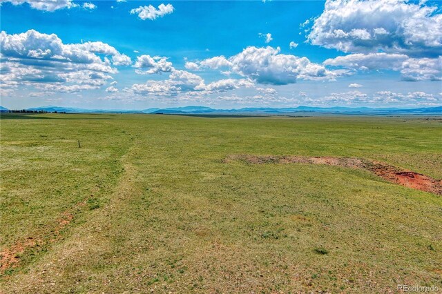 788 Meier Ridge Trl, Fairplay, CO 80440