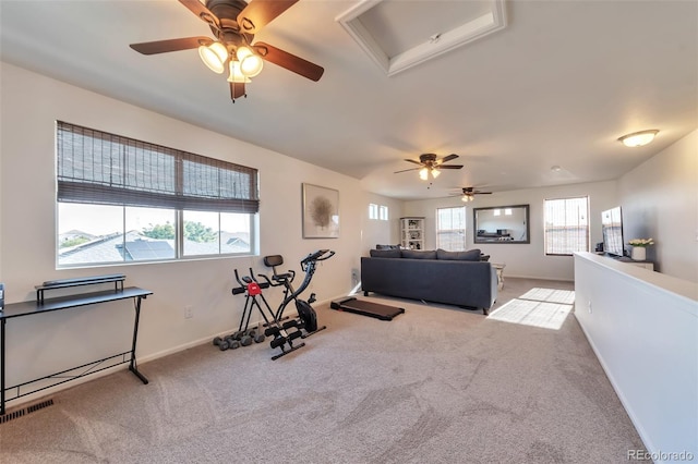 18096 E 104th Way, Commerce City, CO 80022 - workout area featuring ceiling fan, carpet flooring, and attic access