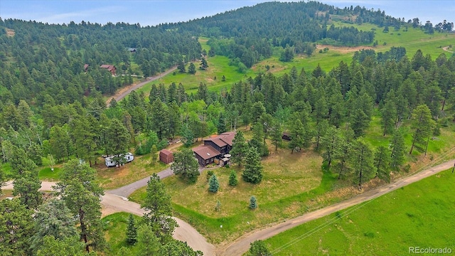 9745 Hilldale Dr, Morrison, CO 80465 - aerial view of property's location with a forest