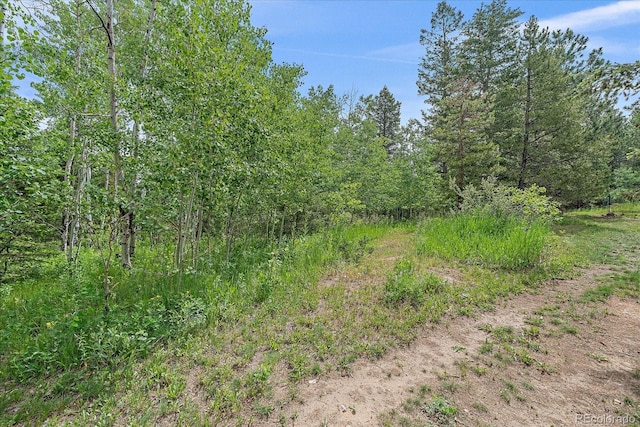 9745 Hilldale Dr, Morrison, CO 80465 - view of woods