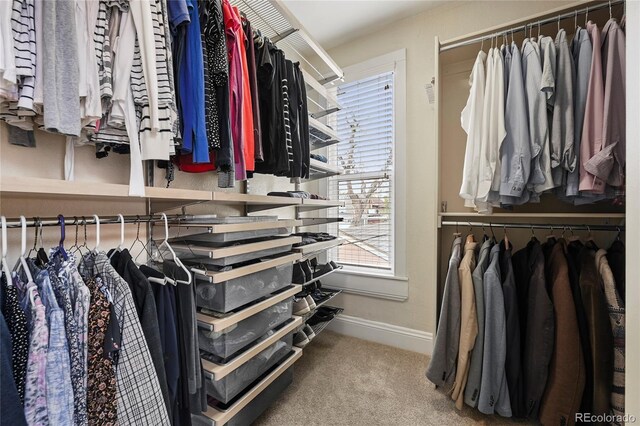1717 E 22nd Ave, Denver, CO 80205 - spacious closet featuring carpet