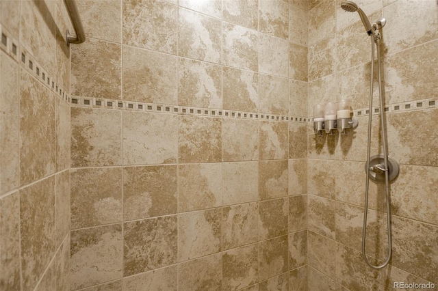 3560 Zane Gray Loop, Parker, CO 80138 - bathroom view of tiled shower
