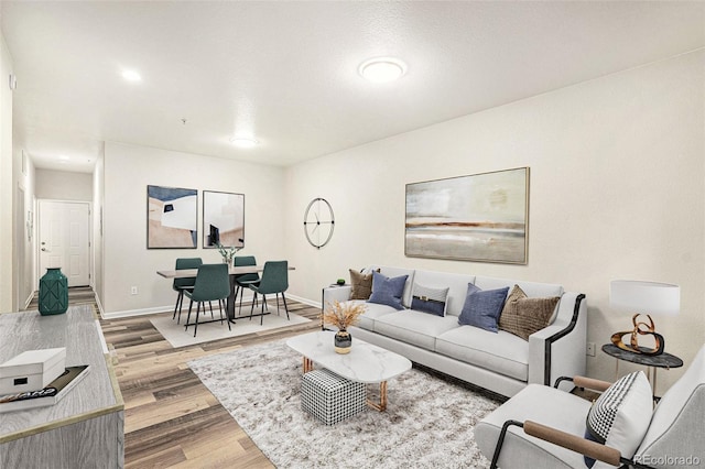 living room with wood-type flooring