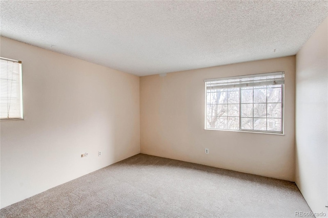 spare room featuring a textured ceiling and carpet flooring