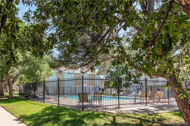 view of swimming pool featuring a lawn