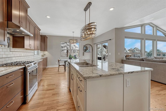 kitchen with backsplash, appliances with stainless steel finishes, a healthy amount of sunlight, a sink, and light wood-type flooring