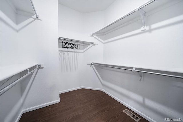 spacious closet featuring dark hardwood / wood-style flooring