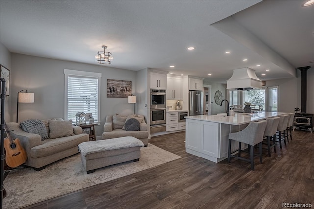 living room featuring dark hardwood / wood-style floors, a wood stove, plenty of natural light, and sink