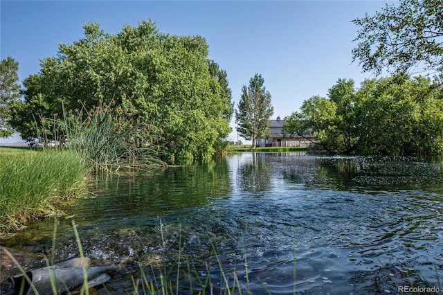 property view of water