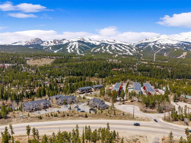 10 River Park Dr Unit A, Breckenridge, CO 80424 - mountain view with a heavily wooded area
