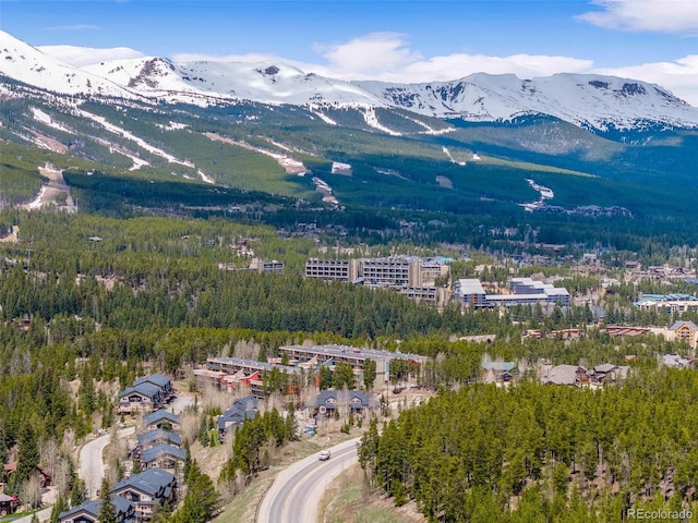 10 River Park Dr Unit A, Breckenridge, CO 80424 - mountain view featuring a heavily wooded area