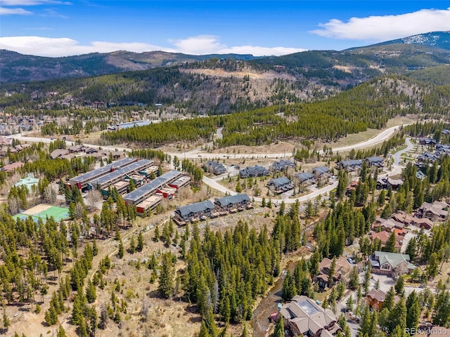 10 River Park Dr Unit A, Breckenridge, CO 80424 - bird's eye view of mountains