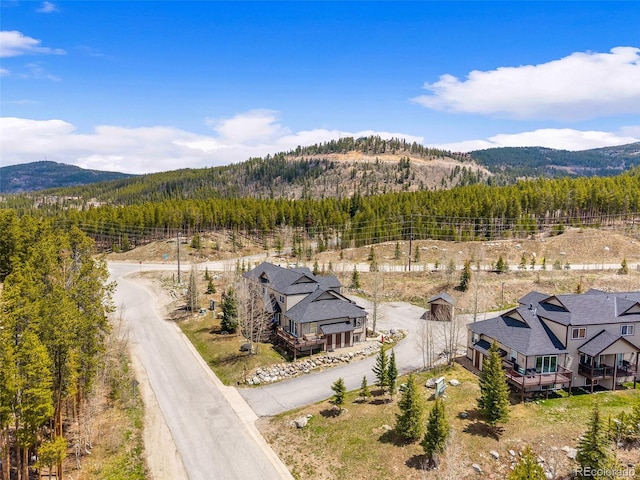 10 River Park Dr Unit A, Breckenridge, CO 80424 - view of mountain background with a heavily wooded area