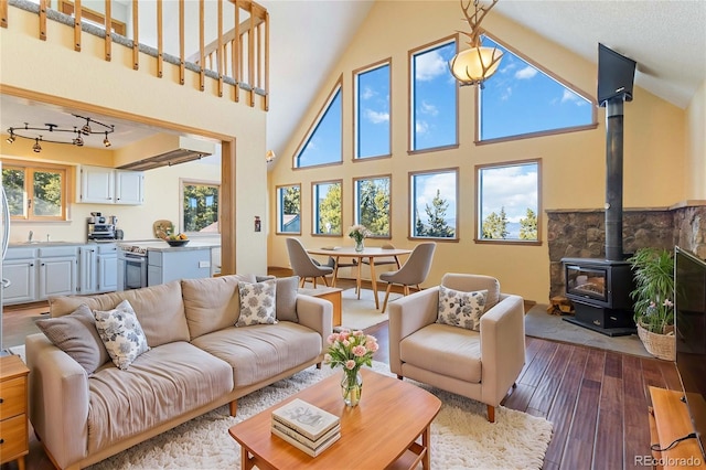 living room featuring dark hardwood / wood-style flooring, a wood stove, and high vaulted ceiling