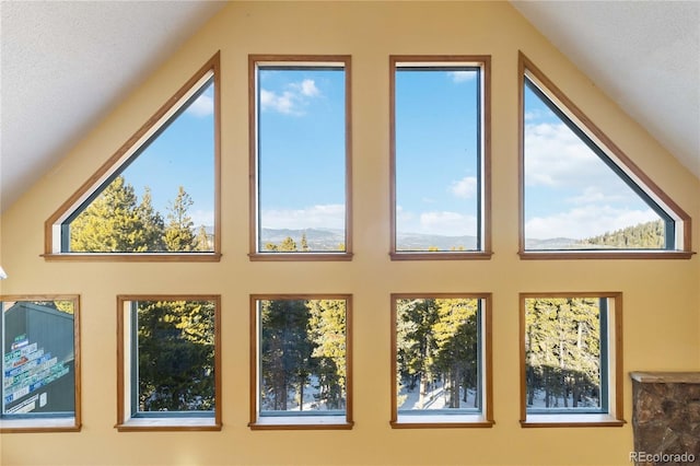 bonus room with a textured ceiling and vaulted ceiling