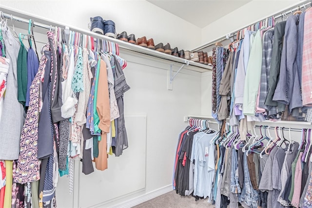 16321 Clayton St, Thornton, CO 80602 - spacious closet featuring carpet