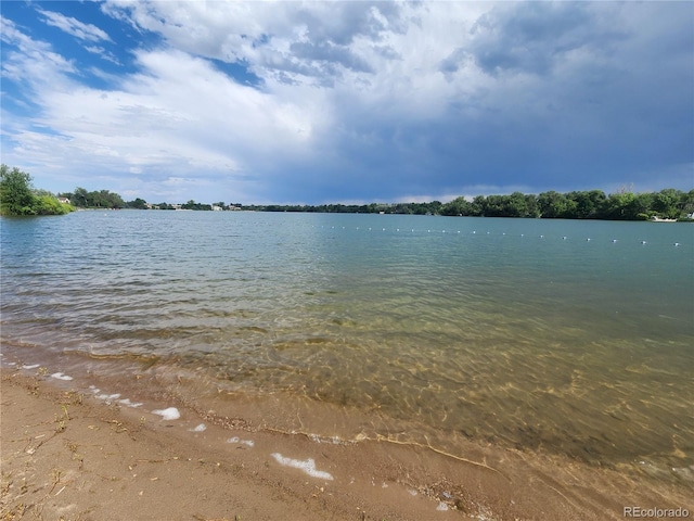 7203 W Pacific Ave, Lakewood, CO 80227 - photo 45