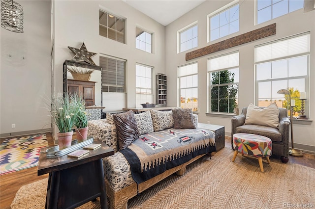 8872 E 47th Ave, Denver, CO 80238 - living room with wood finished floors and a towering ceiling