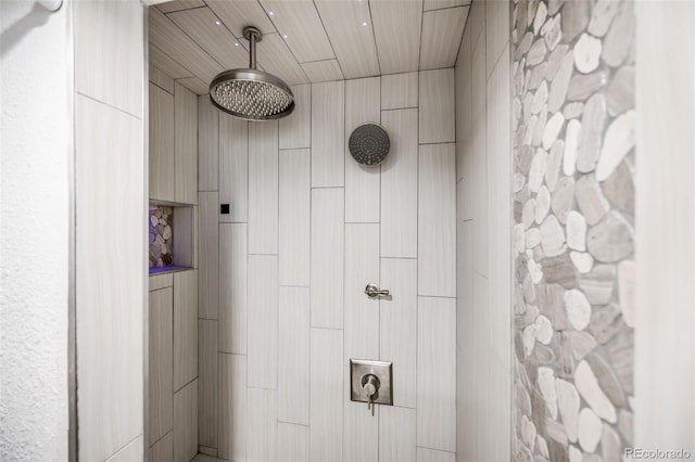 7350 Dale Ct, Westminster, CO 80030 - full bath with tiled shower