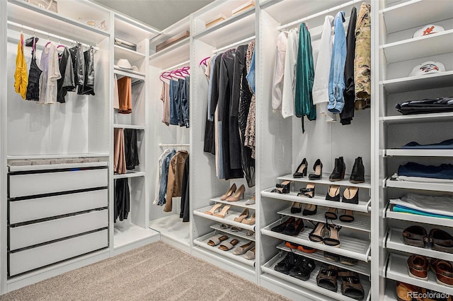 12161 S Leaning Pine Ct, Parker, CO 80134 - walk in closet featuring carpet flooring
