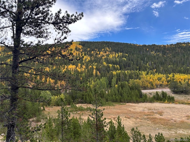 Silver Creek Rd, Idaho Springs, CO 80452 - photo 1